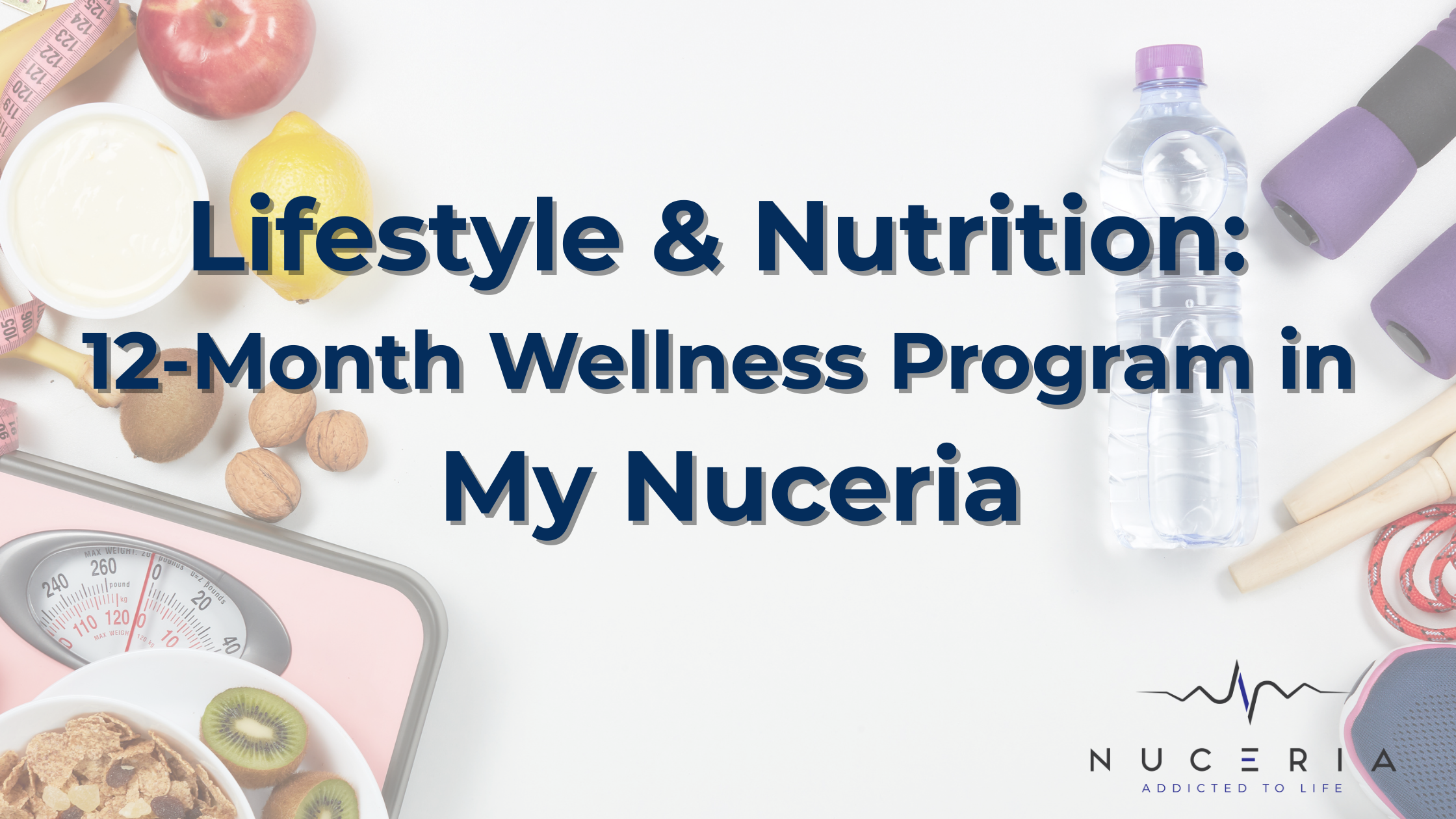 Lifestyle &  Nutrition: 12-Month Wellness Program