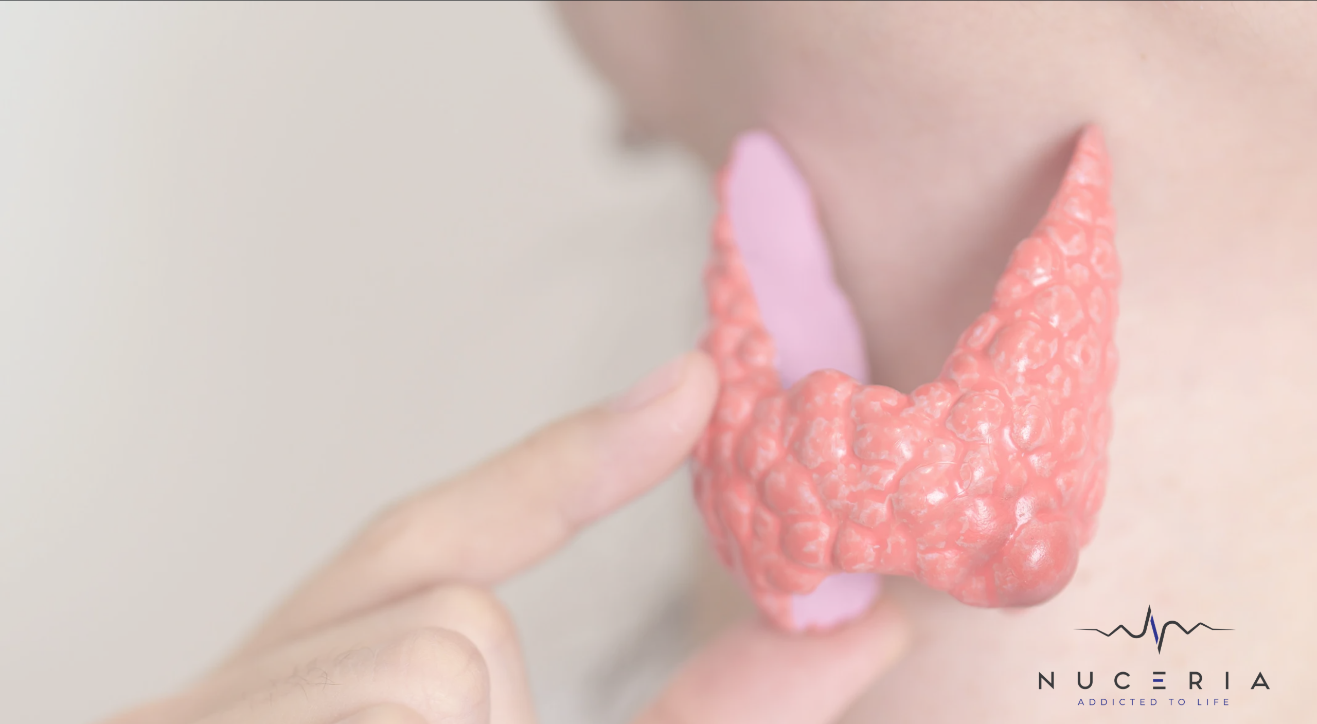 Thyroid Health through Functional Medicine